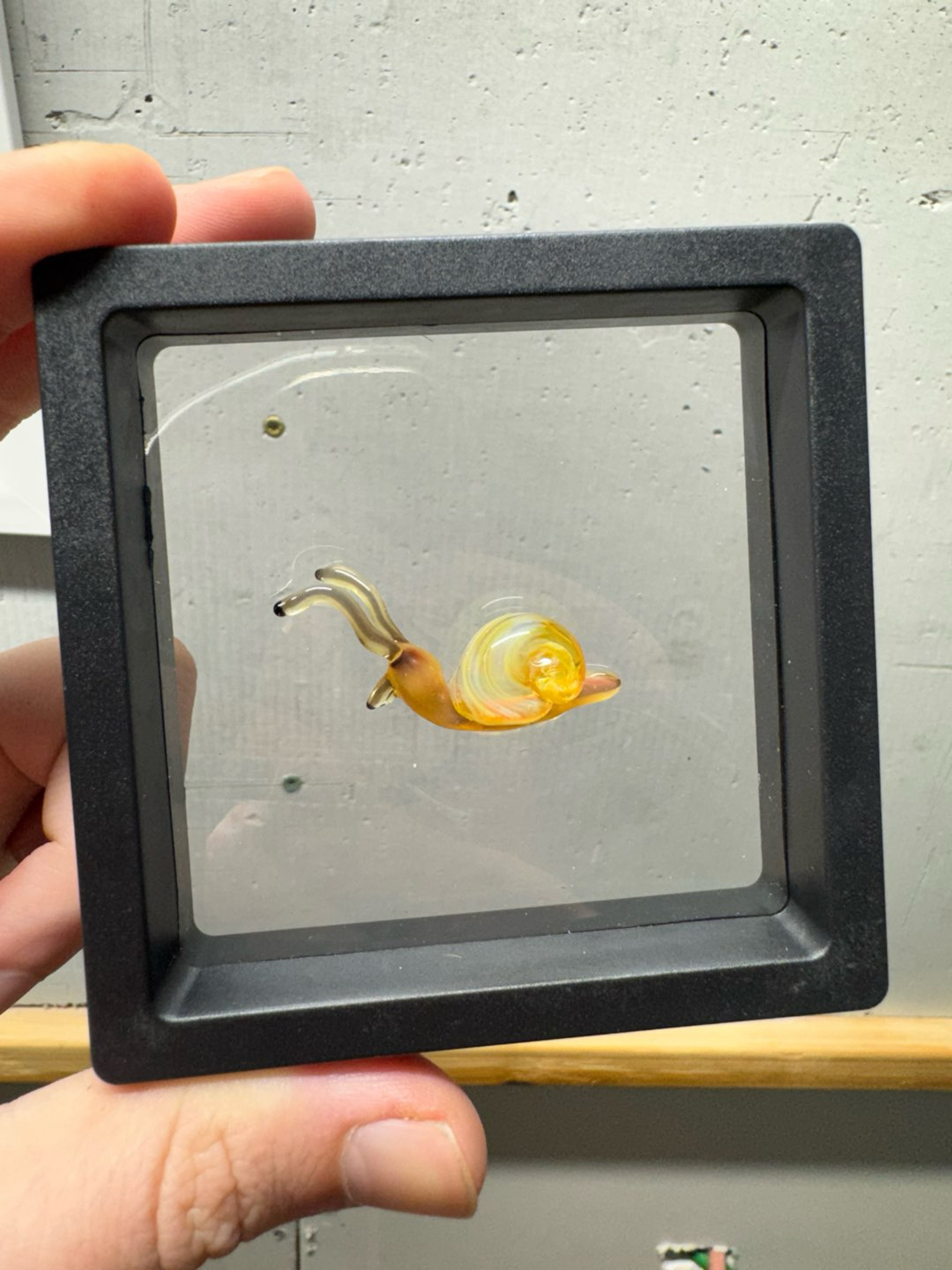Preview pic of Snail