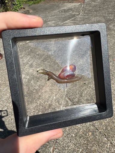 Preview pic of Snail