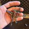 Small image 1