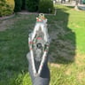 Small image 2