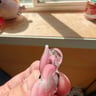Small image 1