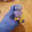 Small image 8