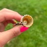 Small image 2