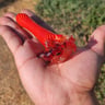 Small image 2