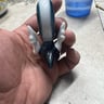 Small image 1