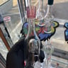 Small image 3