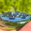 Small image 5