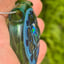 Small image 6