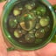 Small image 9