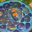 Small image 7