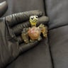 Small image 1