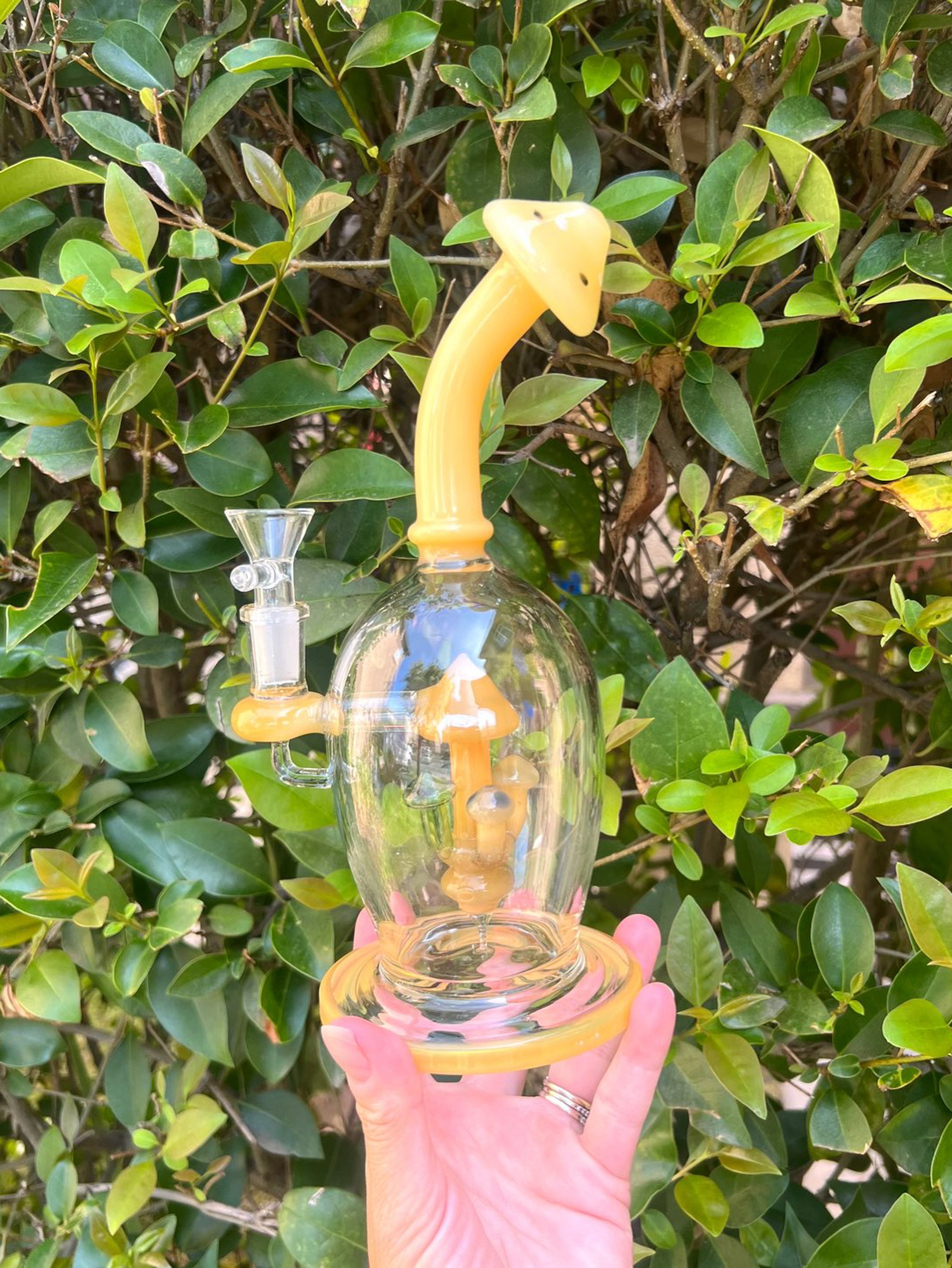 Preview pic of Sprouting Mushrooms Dab Rig
