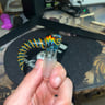 Small image 1