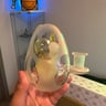 Small image 0