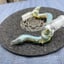 Small image 5
