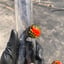 Small image 7