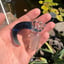 Small image 6