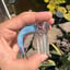 Small image 6