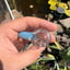 Small image 7