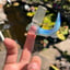 Small image 8