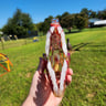 Small image 1