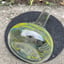 Small image 6
