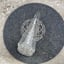 Small image 7