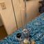Small image 9
