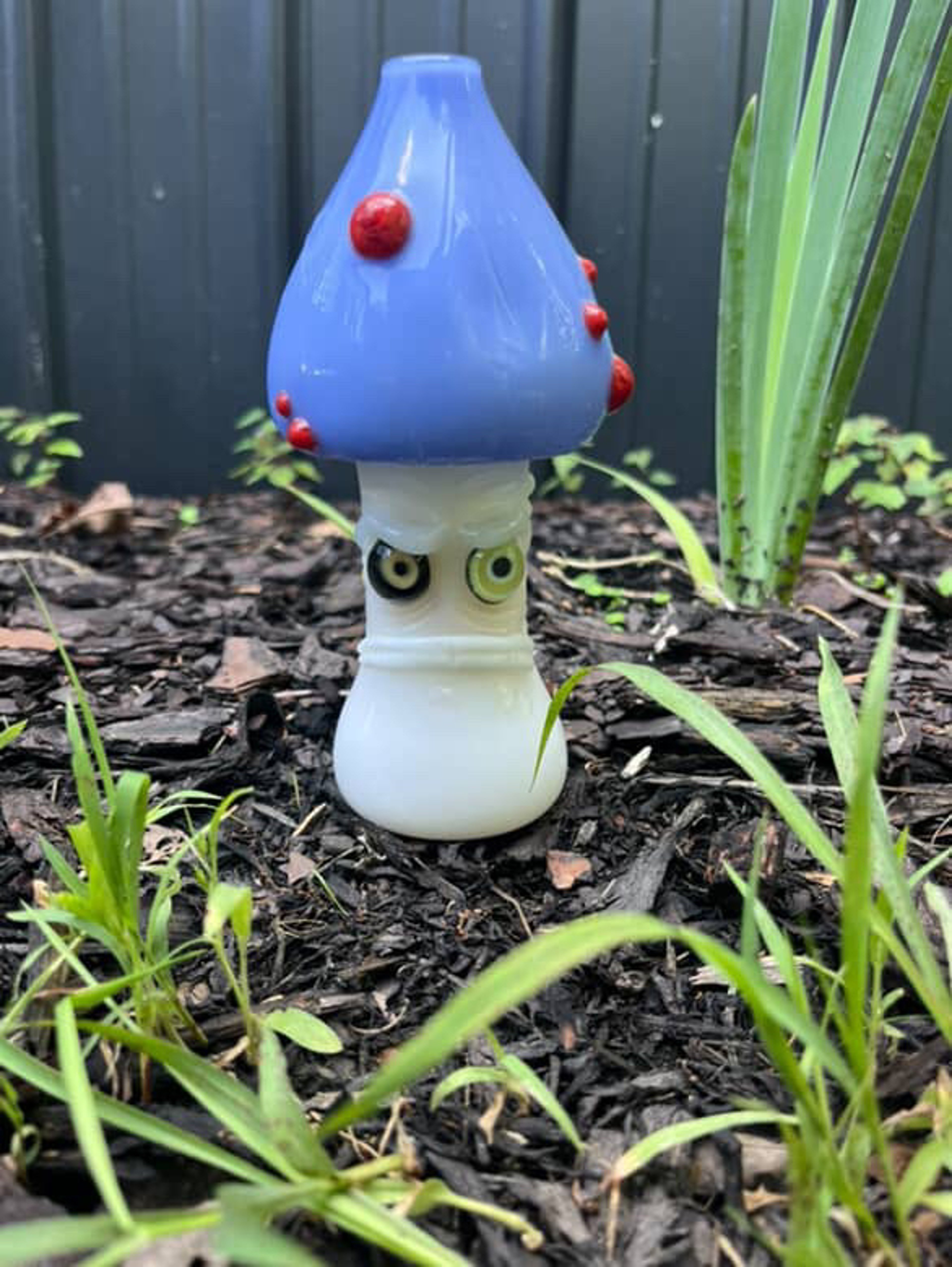 Preview pic of Space glass mushroom