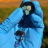 Small image 1