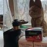 Small image 0
