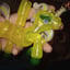 Small image 6
