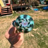 Small image 0