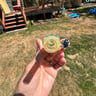 Small image 3