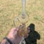 Small image 7