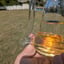 Small image 6