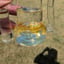 Small image 9