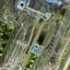 Small image 7
