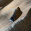 Small image 7