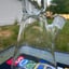 Small image 9