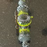 Small image 4