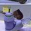 Small image 7