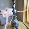 Small image 0