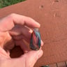 Small image 1