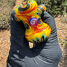 Small image 0