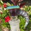Small image 5