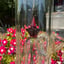 Small image 8