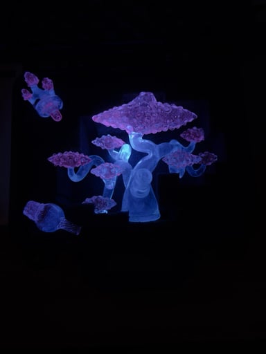Preview pic of Lu Glass UV Bonsai Tree