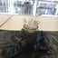 Small image 7