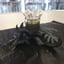 Small image 8